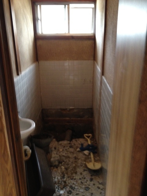 20120310-122820.jpg