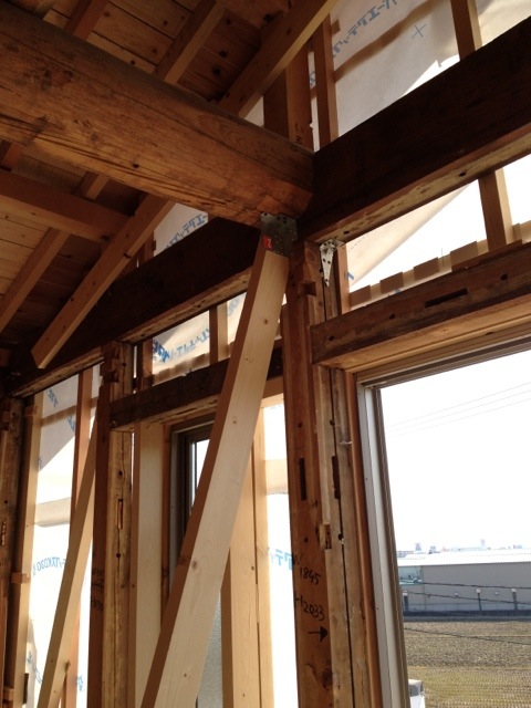 20120329-092450.jpg