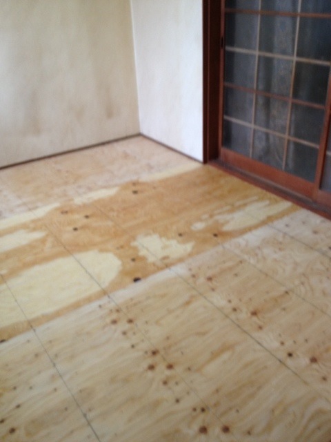 20120426-132117.jpg